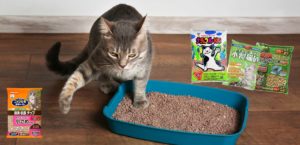 ヘッダー画像-ウッドチップ製猫砂