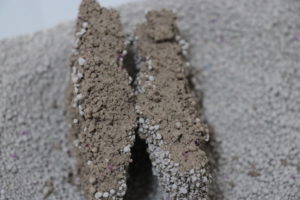 固まるネコ砂（おしっこの固まりの断面）