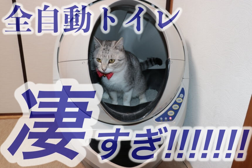 本物保証】 猫自動トイレ cosmetologiauba.com