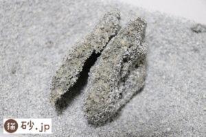 オードロックの砂の固まる力