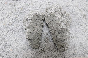 スーパーDC（おしっこの固まり）