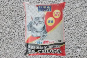 フォーキャットオリジナルのアイキャッチ画像