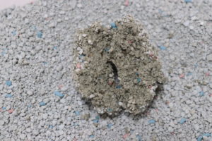 フォーキャットゴールドの尿を固めた砂