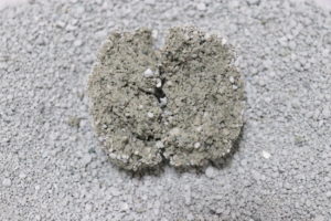 フォーキャットアルファの尿の固まりの断面