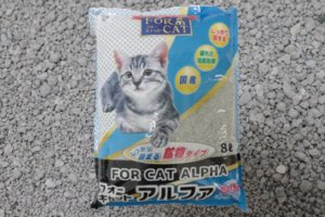 フォーキャットアルファのアイキャッチ画像