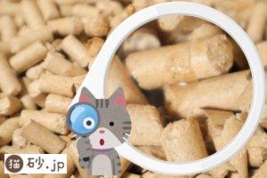 おしっこで濡れた猫砂の拡大写真