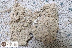 上から猫トイレ用猫砂（固まり具合）