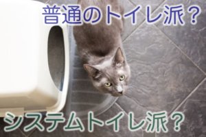 システムトイレか普通トイレか