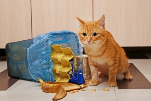 猫砂のゴミ箱