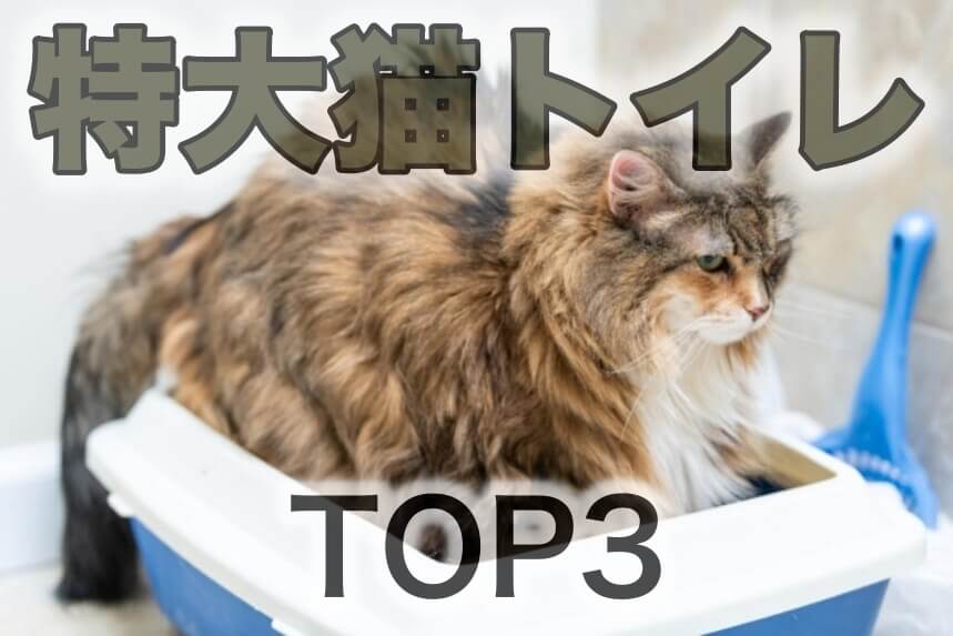 特大猫トイレ