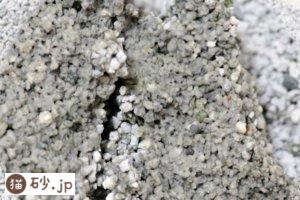 猫砂1番の固まりの断面拡大