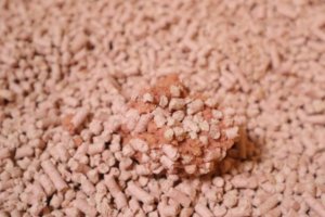 サクラの香りの猫砂のチップの固まり