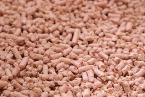 サクラの香りの猫砂の質感