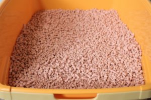 サクラの香りの猫砂をトイレに敷き詰めた