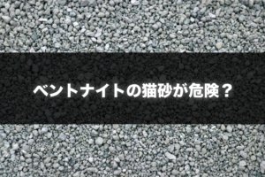 ベントナイトの猫砂が危険？