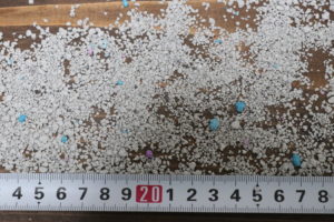 LIFELEXベントナイト固まる猫砂（砂の色とサイズ）