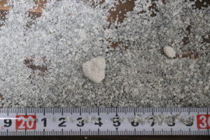 Double Duty Cat Litter（砂の色とサイズ）