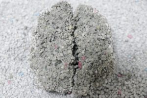 あまえんぼ固まる猫砂の尿の固まり断面