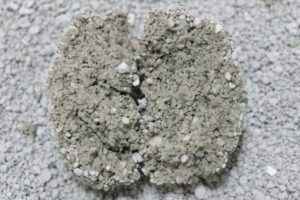 フォーキャットアルファの尿の固まり断面