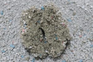 フォーキャットゴールドの尿の固まり断面