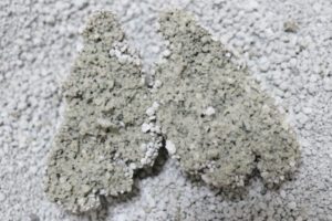 フォーキャットオリジナルの尿の固まり断面