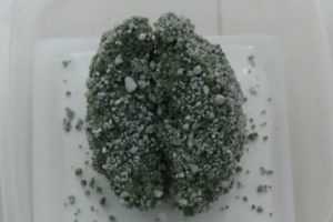 カインズ固まる猫砂の固まり断面