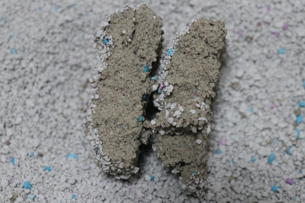 コーナン固まる猫砂の固まり断面