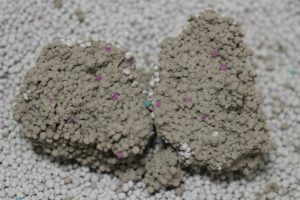 コーナンオリジナル 固まる猫砂 ふんわりソープの香りの固まり断面