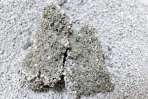 猫砂1番の尿の固まり断面