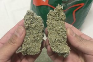 セリームバイオサンドグリーンの尿の固まりを割った断面