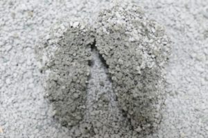 スーパーDCの尿の固まり断面