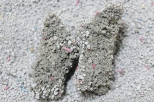 スーパーQSDXの固まり断面