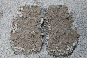 ゼオクリーンライトの固まり断面