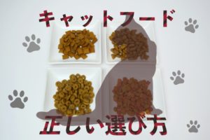 キャットフードの選び方