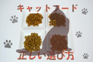 キャットフードの選び方