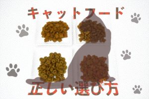 キャットフードの選び方