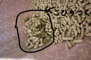 トイレの底にこびりついたえんどう豆の猫砂の写真